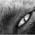 How to Scare Your Co-Workers (Hint: X-Files + Ambient Music) October is the month for scary stories.